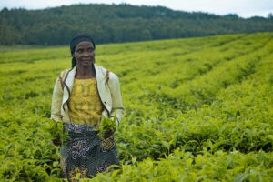 African women entrepreneurs: The smartest climate change investment
